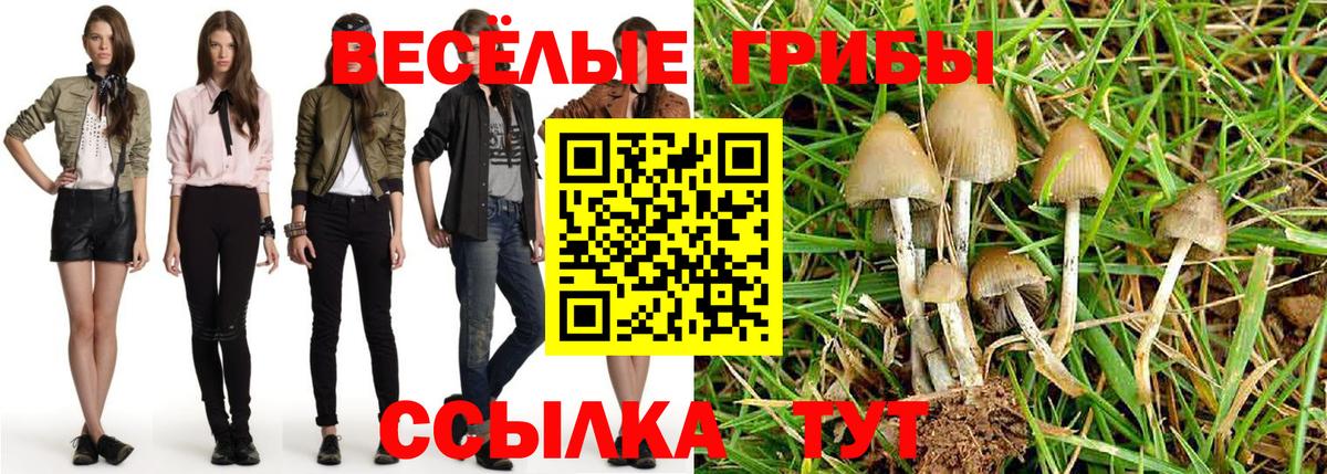 Псилоцибиновые грибы GOLDEN TEACHER  Вход с VPN  Кинель 