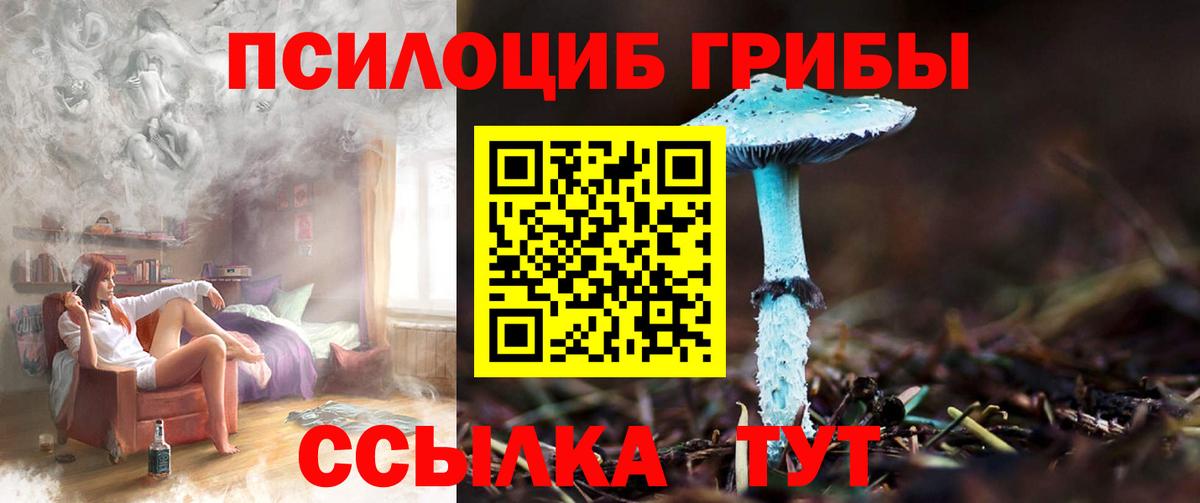 Псилоцибиновые грибы прущие грибы Кинель